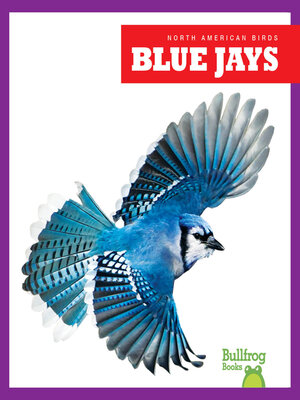 cover image of Blue Jays